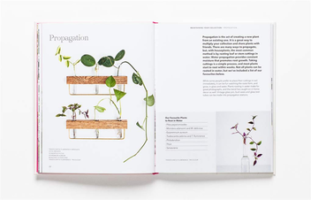 Бумажная книга «How to Raise a Plant: and Make it Love You Back», авторов Морган Доан, Эрин Хардинг - фото №6 - миниатюра