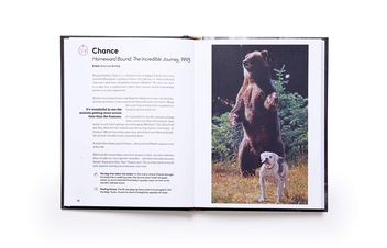 Паперова книга «Citizen Canine. Dogs in the Movies», автор Венді Мітчелл - фото №3 - мініатюра
