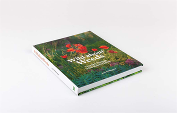Паперова книга «Wild about Weeds. Garden Design with Rebel Plants», автор Джек Воллінгтон - фото №2 - мініатюра