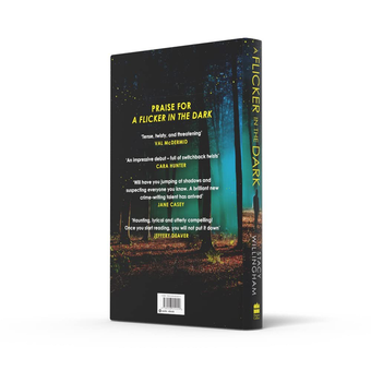 Бумажная книга «A Flicker in the Dark», автор Стейси Уиллингем - фото №4 - миниатюра