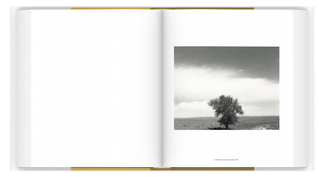 Бумажная книга « American Silence. The Photographs of Robert Adams», автор Сара Гриноу - фото №5 - миниатюра