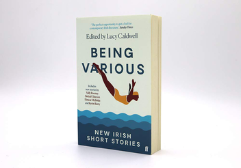 Паперова книга «Being Various. New Irish Short Stories» - фото №2 - мініатюра