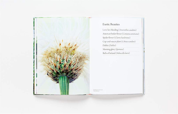 Бумажная книга «Flower Garden», автор Клэр Фостер - фото №3 - миниатюра