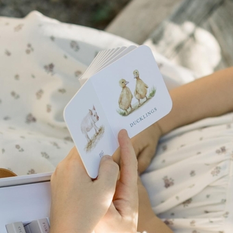 Бумажная книга «Our Very Little Library Board Book Set», автор Табита Пейдж - фото №4 - миниатюра