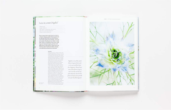 Бумажная книга «Flower Garden», автор Клэр Фостер - фото №4 - миниатюра