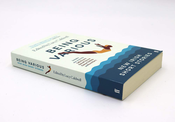 Паперова книга «Being Various. New Irish Short Stories» - фото №3 - мініатюра