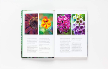 Бумажная книга «Flower Garden», автор Клэр Фостер - фото №5 - миниатюра