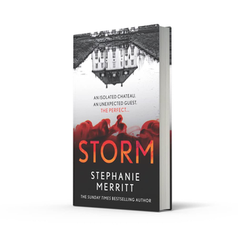 Бумажная книга «Storm», автор Стефани Мерритт - фото №2 - миниатюра