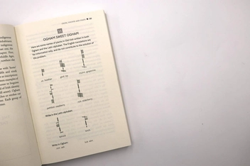 Паперова книга «The Language Lover's Puzzle Book», автор Алекс Беллос - фото №5 - мініатюра