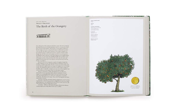Бумажная книга «Story of Trees. And How They Changed the Way We Live», авторов Дэвид Уэст, Кевин Хоббс - фото №4 - миниатюра