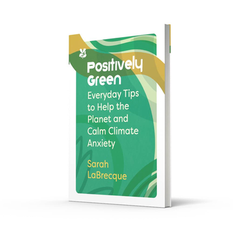 Бумажная книга «Positively Green. Everyday Tips to Help the Planet and Calm Climate Anxiety», автор Сара Лабрек - фото №2 - миниатюра