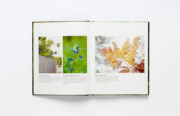 Паперова книга «Wild about Weeds. Garden Design with Rebel Plants», автор Джек Воллінгтон - фото №4 - мініатюра