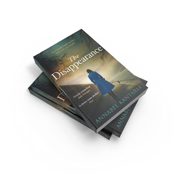 Паперова книга «The Disappearance», автор Аннабель Кантарія - фото №3 - мініатюра