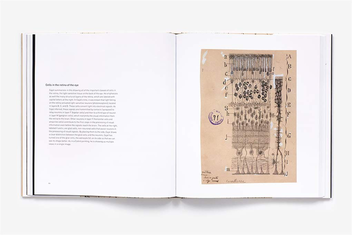 Паперова книга «The Beautiful Brain: The Drawings of Santiago Ramon y Cajal», авторів Альфонсо Араке, Ерік Ньюман, Ларрі Свенсон - фото №4 - мініатюра