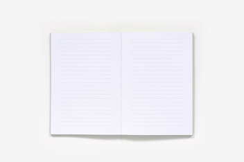 Бумажная книга «Jane Austen Notebook», автор Абрамс Нотери - фото №5 - миниатюра