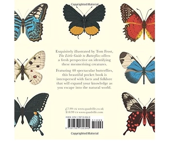 Бумажная книга «The Little Guide to Butterflies» - фото №2 - миниатюра