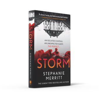 Бумажная книга «Storm», автор Стефани Мерритт - фото №5 - миниатюра
