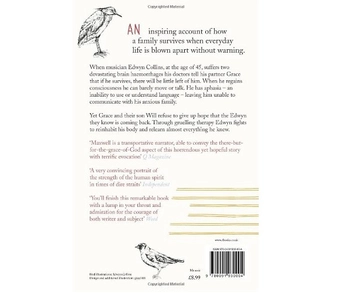 Паперова книга «Falling and Laughing: The Restoration of Edwyn Collins», автор Грейс Максвелл - фото №3 - мініатюра