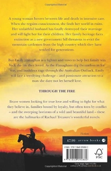 Бумажная книга «Through the Fire», автор Рэйчел Трежер - фото №3 - миниатюра