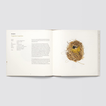 Бумажная книга «Nests», автор Сьюзан Огилви - фото №6 - миниатюра