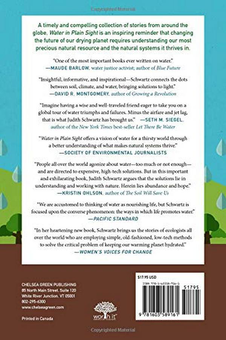 Бумажная книга «Water in Plain Sight. Hope for a Thirsty World», автор Джудит Д. Шварц - фото №2 - миниатюра