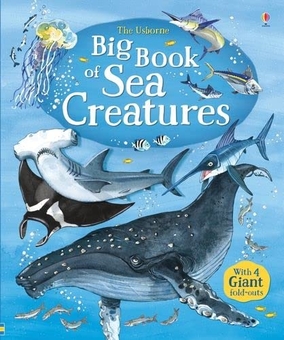 Бумажная книга «Big Book of Sea Creatures», автор Минна Лейси - фото №1 - миниатюра
