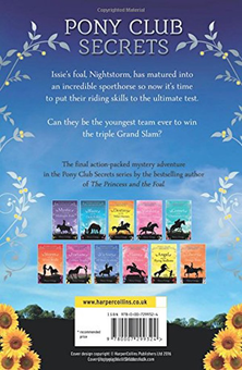 Бумажная книга «Nightstorm And The Grand Slam», автор Стейси Грегг - фото №2 - миниатюра