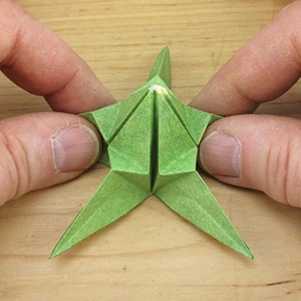 Бумажная книга «Origami Ikebana», автор Бенджамин Джон Коулман - фото №6 - миниатюра