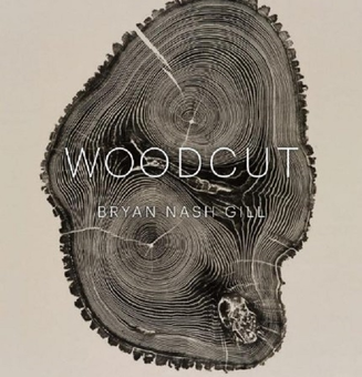 Паперова книга «Woodcut», автор Брайан Неш Гілл - фото №1 - мініатюра
