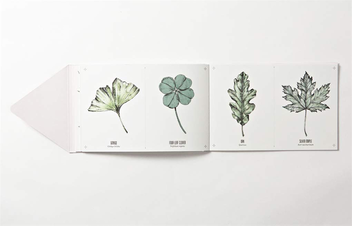 Бумажная книга «Tatouage. Blossom. 102 Temporary Tattoos of Flowers & Plants 21 Art-Print Keepsakes» - фото №6 - миниатюра