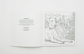 Паперова книга «All About the Dog. A Battersea Dogs & Cats Home Colouring Book» - фото №4 - мініатюра