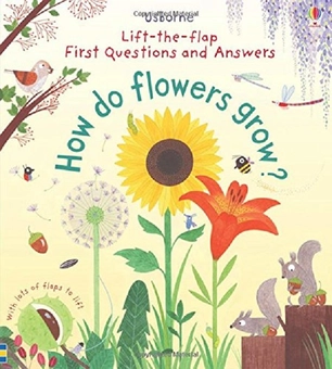 Бумажная книга «How Do Flowers Grow?», автор Кэйти Дэйнс - фото №1 - миниатюра