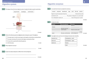 Бумажная книга «AQA GCSE Biology 9-1 Grade 5 Booster Workbook» - фото №2 - миниатюра