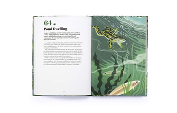 Паперова книга «100 Things to do in a Forest», автор Дженніфер Девіс - фото №4 - мініатюра