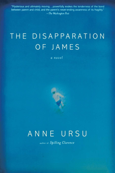 Бумажная книга «The Disapparation of James», автор Энн Урсу - фото №1 - миниатюра