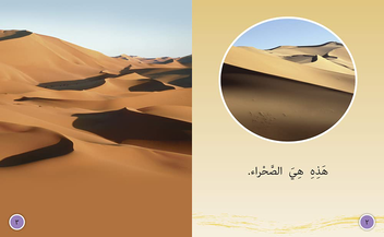 Паперова книга «In the Desert: Level 6» - фото №2 - мініатюра