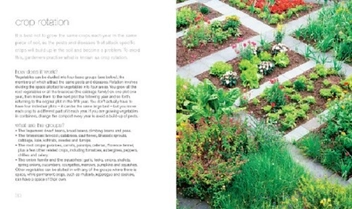 Паперова книга «200 Veg-Growing Basics: Hamlyn All Colour Gardening» - фото №2 - мініатюра
