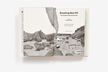 Бумажная книга «Breaking Bad 101. The Complete Critical Companion», автор Алан Сепинуолл - фото №3 - миниатюра