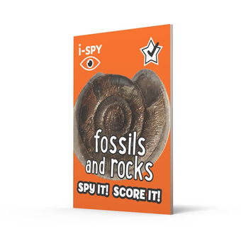 Паперова книга «i-SPY Fossils and Rocks. Spy it! Score it!» - фото №2 - мініатюра