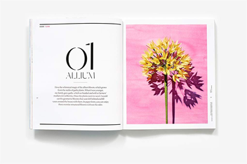 Бумажная книга «The Exquisite Book of Paper Flower Transformations», автор Ливия Четти - фото №6 - миниатюра