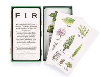 Паперова книга «Tree Vision. Know Your Trees in 30 Cards», автор Тоні Кіркхем - фото №4 - мініатюра