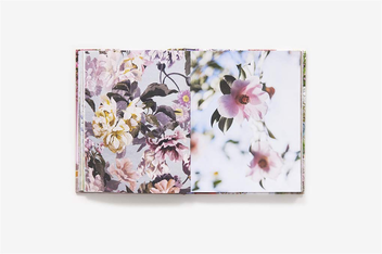 Бумажная книга «London in Bloom», автор Джорджина Лайн - фото №4 - миниатюра