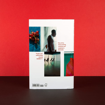 Паперова книга «The Late Americans», автор Брендон Тейлор - фото №4 - мініатюра