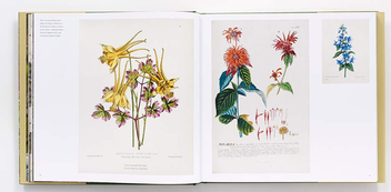 Бумажная книга «The New York Botanical Garden», авторов Грегори Лонг, Тодд Форрест - фото №3 - миниатюра