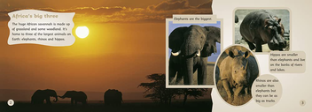 Бумажная книга «Africa's Big Three», автор Джонатан Скотт - фото №4 - миниатюра