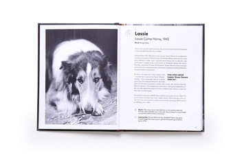 Паперова книга «Citizen Canine. Dogs in the Movies», автор Венді Мітчелл - фото №4 - мініатюра