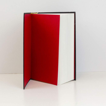 Бумажная книга «My Seditious Heart», автор Арундати Рой - фото №2 - миниатюра