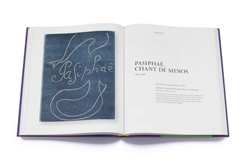 Бумажная книга «Matisse. The Books», автор Луиза Роджерс Лалори - фото №8 - миниатюра