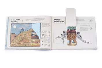 Паперова книга «How Life on Earth Began. Fossils. Dinosaurs. The First Humans», автор Айна Бестард - фото №4 - мініатюра
