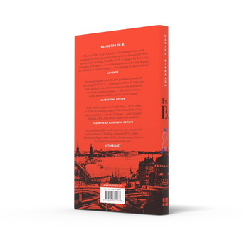 Бумажная книга «Dr. B.», автор Дэниел Бирнбаум - фото №4 - миниатюра